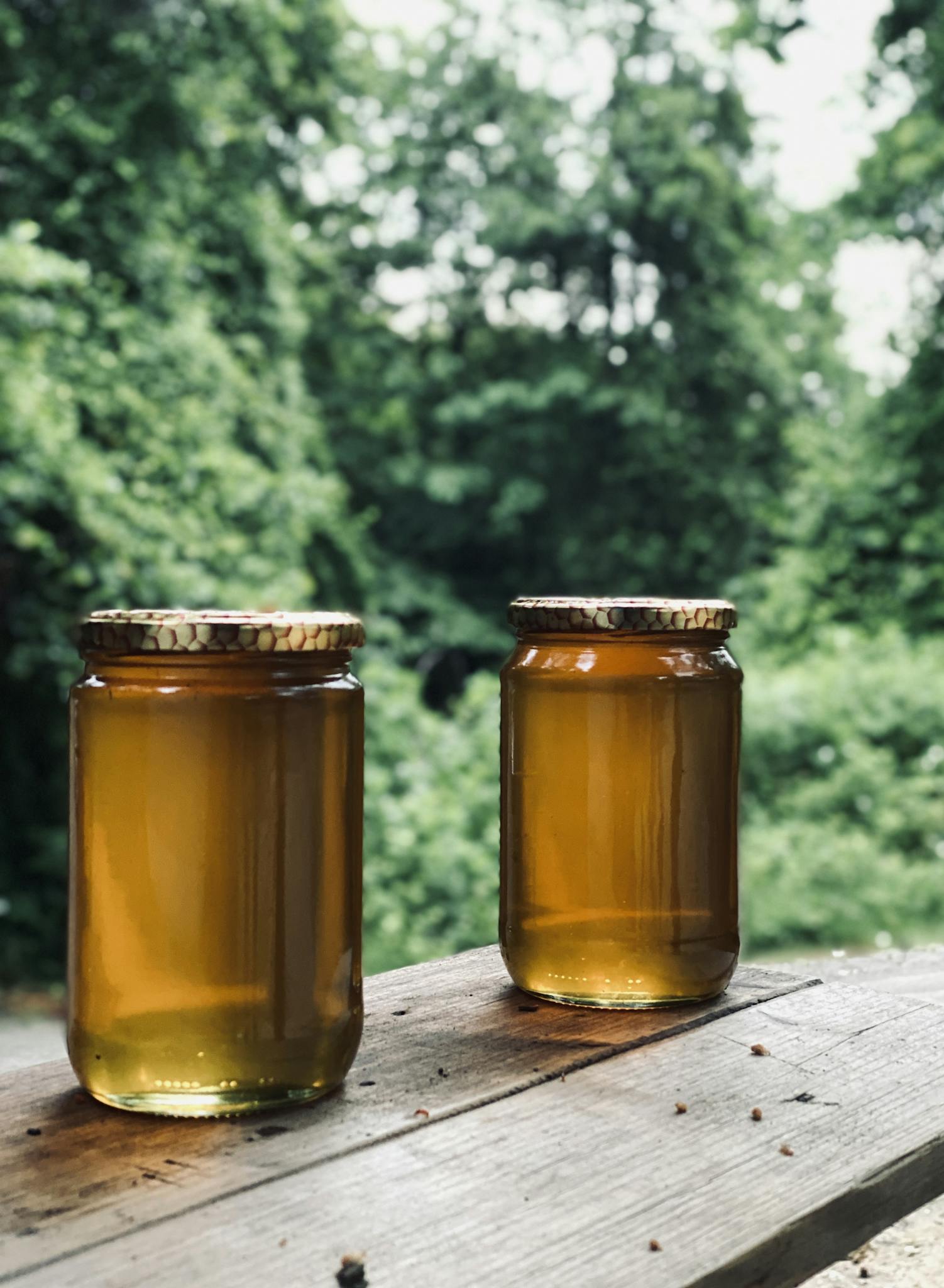 Two glass jars of honey on a wooden surface in a lush green forest setting, Sapanca, Turkey.